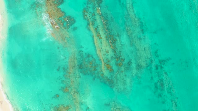 CABO PULMO BCS MEXICO-2021: Turquoise Ocean with Visible Coral Formations
