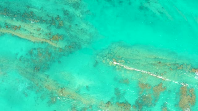 CABO PULMO BCS MEXICO-2021: Swimmer in Turquoise Ocean Over Coral Reefs