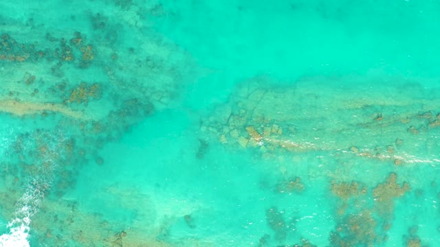 CABO PULMO BCS MEXICO-2021: Clear Turquoise Water Over Coral Reefs