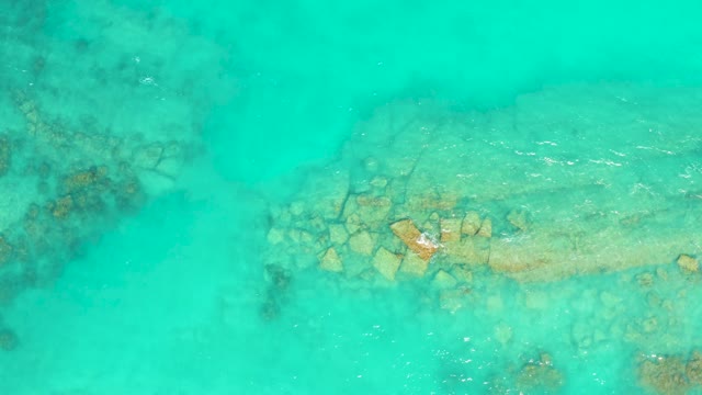CABO PULMO BCS MEXICO-2021: Small Fish Swimming in Clear Turquoise Water