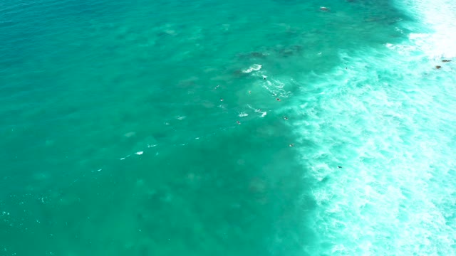 MARQUIS LOS CABOS BCS MEXICO-2021: Shallow Turquoise Ocean Waves with Swimmers