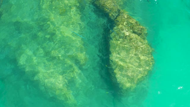 DREAMS LOS CABOS BCS MEXICO-2021: Fish Swimming Over Rocky Seabed in Clear Turquoise Water