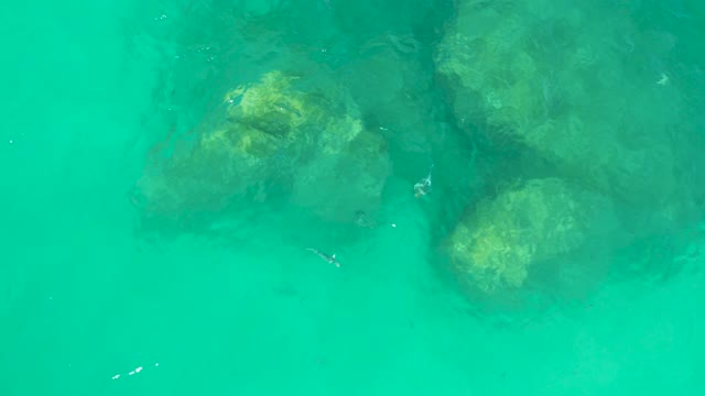 DREAMS LOS CABOS BCS MEXICO-2021: Swimmers Moving Between Underwater Rocks in Turquoise Water