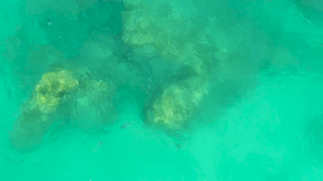 DREAMS LOS CABOS BCS MEXICO-2021: Submerged Rocks and Small Fish in Clear Turquoise Water