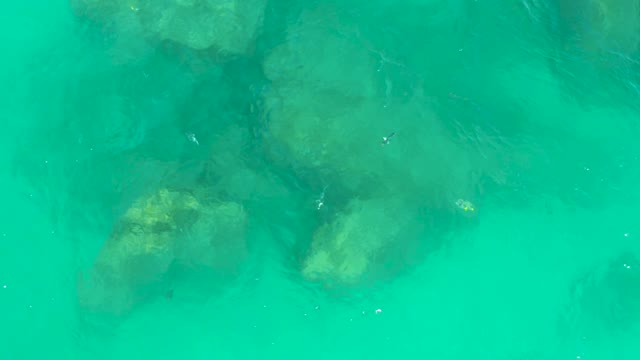 DREAMS LOS CABOS BCS MEXICO-2021: Clear Turquoise Water with Submerged Rocks and Small Fish