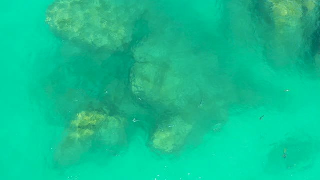 DREAMS LOS CABOS BCS MEXICO-2021: Underwater Scene of Rocky Seabed with Small Swimming Fish