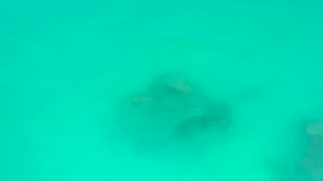 DREAMS LOS CABOS BCS MEXICO-2021: Stingray Gliding Over Sandy Seabed in Clear Turquoise Water