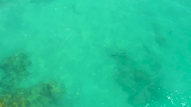 DREAMS LOS CABOS BCS MEXICO-2021: Clear Turquoise Water with Underwater Rocks and Fish