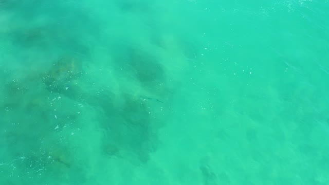 DREAMS LOS CABOS BCS MEXICO-2021: Small Fish Swimming in Clear Turquoise Water