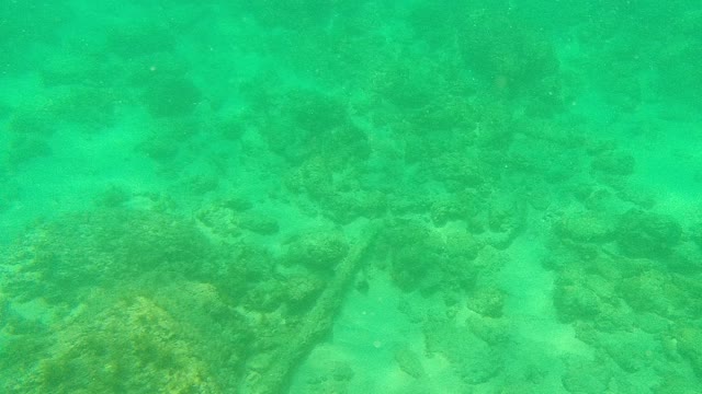PALMILLA LOS CABOS BCS MEXICO-2021: Underwater Seabed with Rocks and Swimming Fish