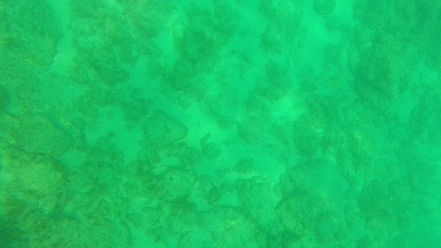 PALMILLA LOS CABOS BCS MEXICO-2021: Clear Turquoise Water Revealing Coral Formations Beneath