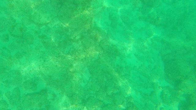 PALMILLA LOS CABOS BCS MEXICO-2021: Underwater View of Seabed with Submerged Rectangular Object
