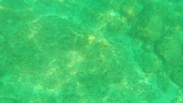 PALMILLA LOS CABOS BCS MEXICO-2021: Gentle Water Ripples Over Rocky Ocean Floor