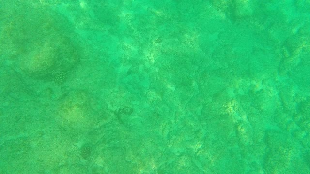 PALMILLA LOS CABOS BCS MEXICO-2021: Gentle Ripples on Clear Turquoise Ocean Surface