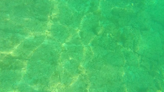 PALMILLA LOS CABOS BCS MEXICO-2021: Shallow Turquoise Water with Sunlight Ripples