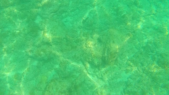 PALMILLA LOS CABOS BCS MEXICO-2021: Underwater Seabed with Clear Turquoise Water and Rocks