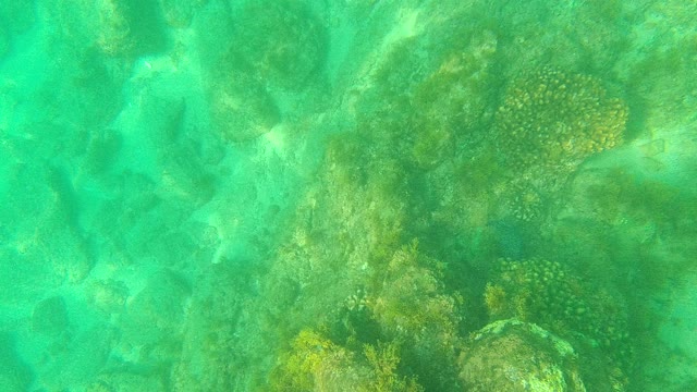 PALMILLA LOS CABOS BCS MEXICO-2021: Underwater Rocky Seabed with Clear Turquoise Water