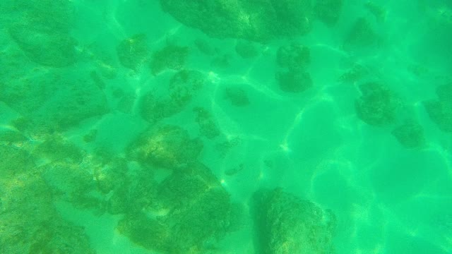 PALMILLA LOS CABOS BCS MEXICO-2021: Underwater Seabed with Rocky Formations and Clear Water