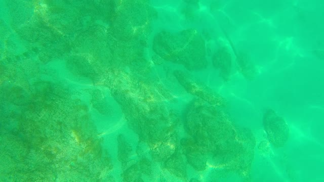 PALMILLA LOS CABOS BCS MEXICO-2021: Underwater View of Coral and Rocky Seabed