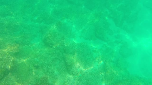 PALMILLA LOS CABOS BCS MEXICO-2021: Underwater View of Sunlight Dancing on Ocean Floor