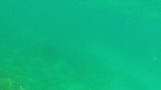 PALMILLA LOS CABOS BCS MEXICO-2021: Diving From Ocean Surface to Clear Seabed