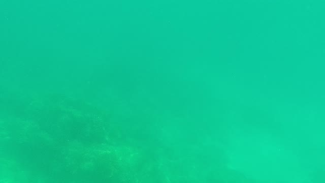 PALMILLA LOS CABOS BCS MEXICO-2021: Underwater to Sea Surface Transition with Coastline View