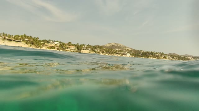 PALMILLA LOS CABOS BCS MEXICO-2021: Swimmer's Underwater and Surface Ocean Views