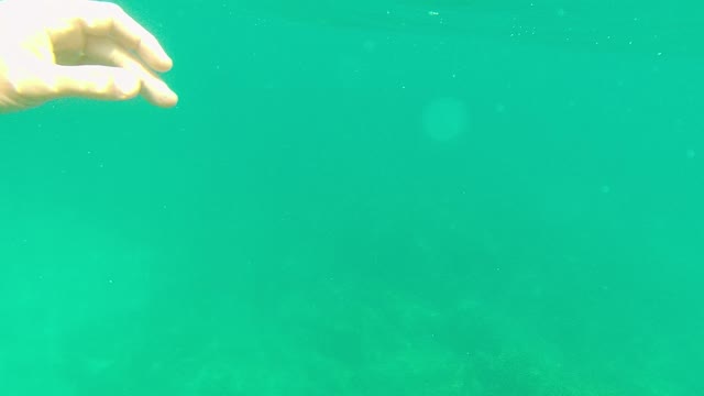 PALMILLA LOS CABOS BCS MEXICO-2021: Person Swimming in Clear Ocean Waters