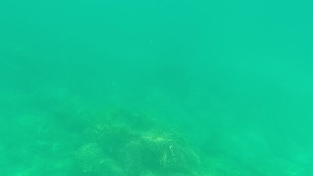 PALMILLA LOS CABOS BCS MEXICO-2021: Underwater Seabed Transitioning to Diver and Boat