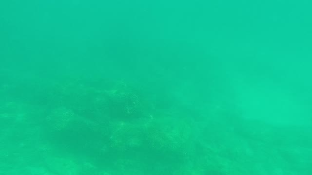 PALMILLA LOS CABOS BCS MEXICO-2021: Underwater Seabed with Increasing Water Turbulence