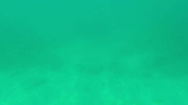 PALMILLA LOS CABOS BCS MEXICO-2021: Underwater Sand Disturbance and Calm Return