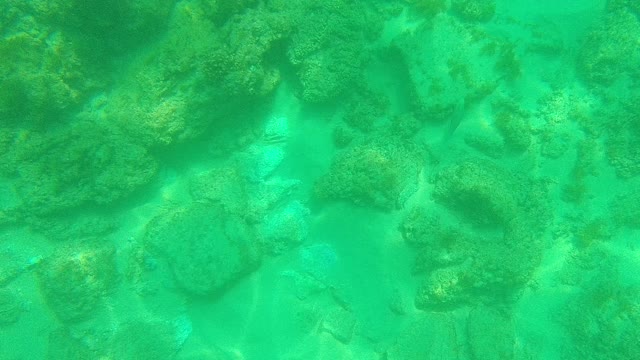 PALMILLA LOS CABOS BCS MEXICO-2021: Underwater View of Rocky Seabed in Clear Turquoise Water
