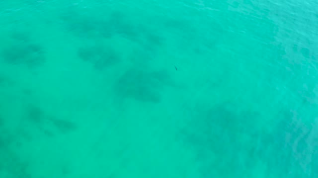 SHIPWRECKS LOS CABOS BCS MEXICO-2021: Clear Turquoise Water with Visible Underwater Coral Formations