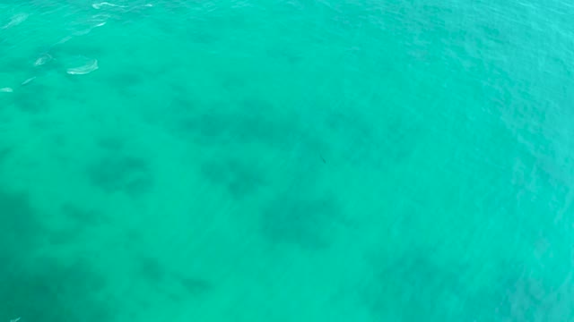 SHIPWRECKS LOS CABOS BCS MEXICO-2021: Turquoise Ocean Water with Visible Coral Reefs