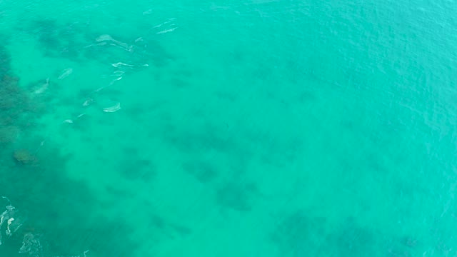 SHIPWRECKS LOS CABOS BCS MEXICO-2021: Clear Turquoise Ocean Water with Swimming Fish