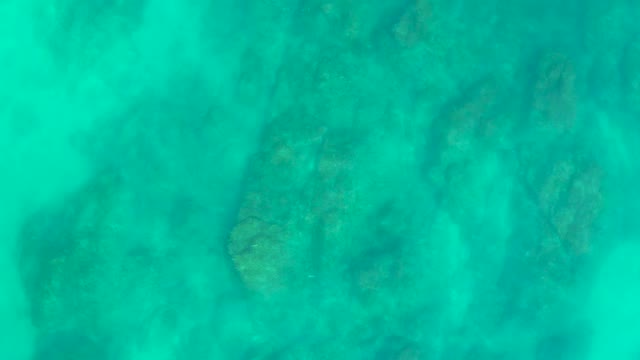 SHIPWRECKS LOS CABOS BCS MEXICO-2021: Clear Turquoise Water Over Rocky Seabed