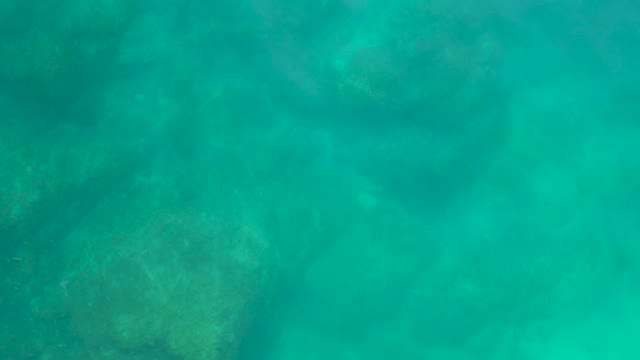 SHIPWRECKS LOS CABOS BCS MEXICO-2021: Underwater View of Rocky Seabed in Clear Turquoise Water