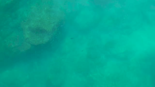 SHIPWRECKS LOS CABOS BCS MEXICO-2021: Underwater Rock Formation with Small Fish in Turquoise Water