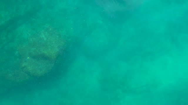 SHIPWRECKS LOS CABOS BCS MEXICO-2021: Underwater Scene of Rocky Seabed in Clear Turquoise Water