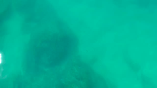 SHIPWRECKS LOS CABOS BCS MEXICO-2021: Underwater View of Rocky Seabed with Small Fish Swimming