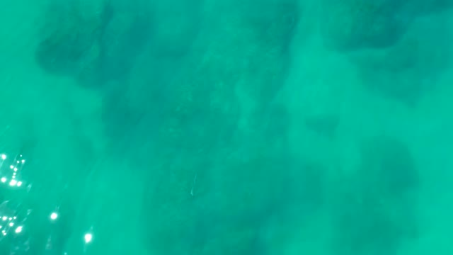 SHIPWRECKS LOS CABOS BCS MEXICO-2021: Underwater Movement Through Clear Turquoise Coral Formations