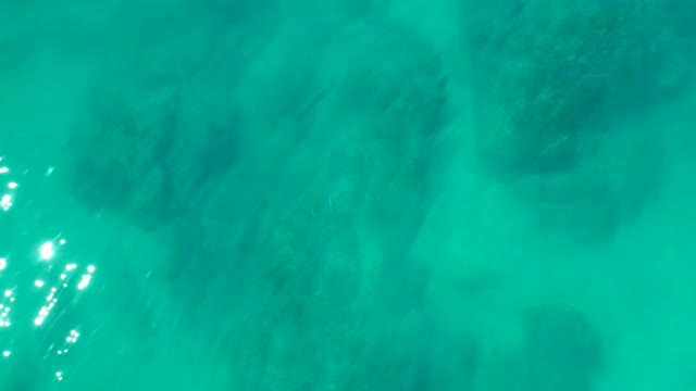 SHIPWRECKS LOS CABOS BCS MEXICO-2021: Clear Turquoise Water with Underwater Rock Formations and Light Reflections