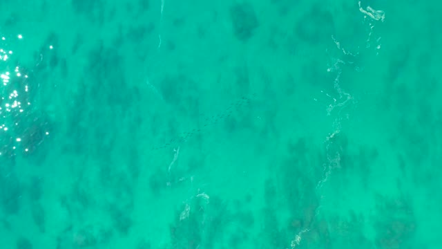 SHIPWRECKS LOS CABOS BCS MEXICO-2021: Clear Turquoise Water with Underwater Coral and Moving Currents