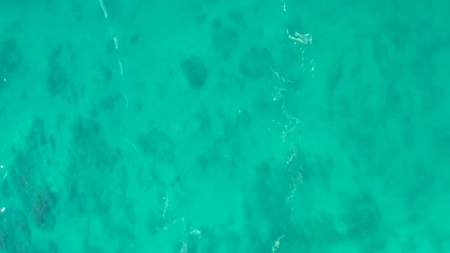 SHIPWRECKS LOS CABOS BCS MEXICO-2021: Clear Turquoise Ocean Water with Visible Seabed