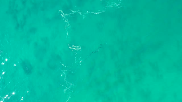 SHIPWRECKS LOS CABOS BCS MEXICO-2021: Gentle Waves in Shallow Turquoise Water