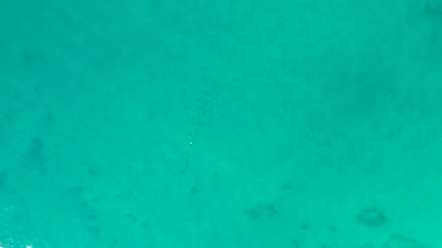 SHIPWRECKS LOS CABOS BCS MEXICO-2021: Clear Turquoise Ocean with Underwater Coral Formations