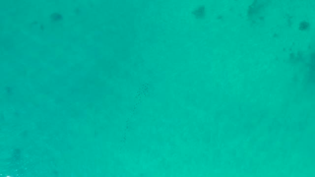 SHIPWRECKS LOS CABOS BCS MEXICO-2021: Turquoise Ocean Water Becoming Clearer Over Time