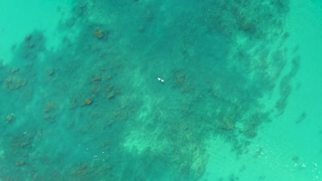 SHIPWRECKS LOS CABOS BCS MEXICO-2021: Swimmer Moving Through Shallow Coral Reef Waters