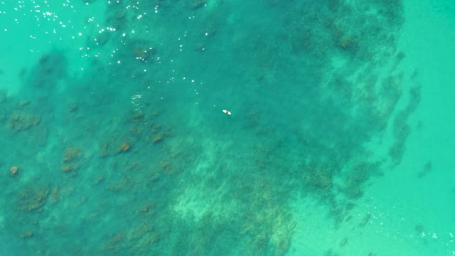 SHIPWRECKS LOS CABOS BCS MEXICO-2021: Clear Turquoise Water and Moving Marine Life