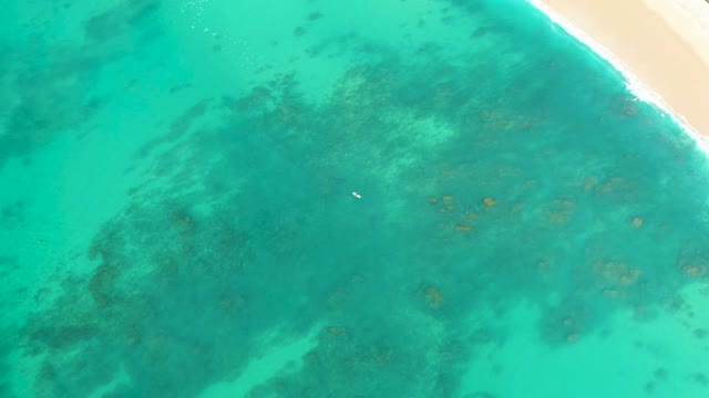 SHIPWRECKS LOS CABOS BCS MEXICO-2021: Overhead View of Turquoise Ocean and Sandy Beach